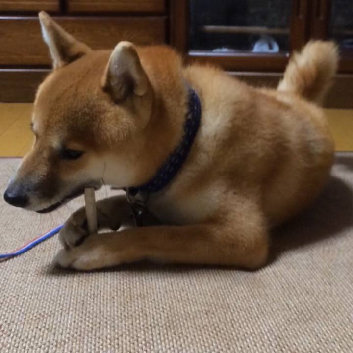 0309086b f1f3 494d 8aac b8364be1980b