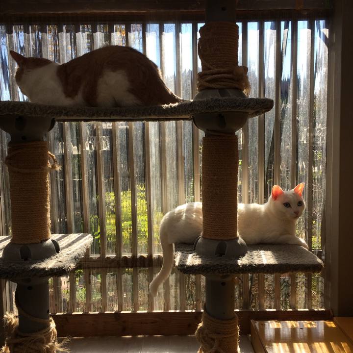 030930ad 0abd 4f34 b6c5 868fe3e75db2