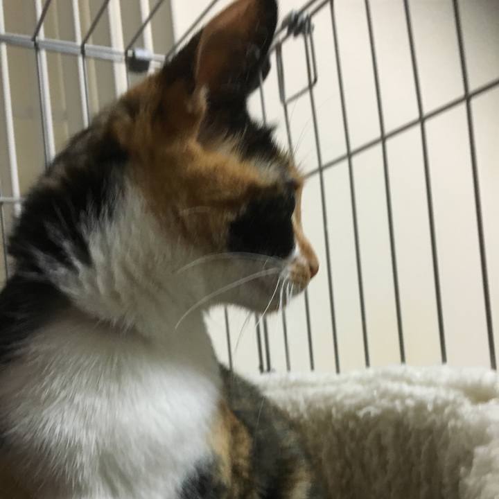 0309890c 4228 42b3 8bac 76328824551f