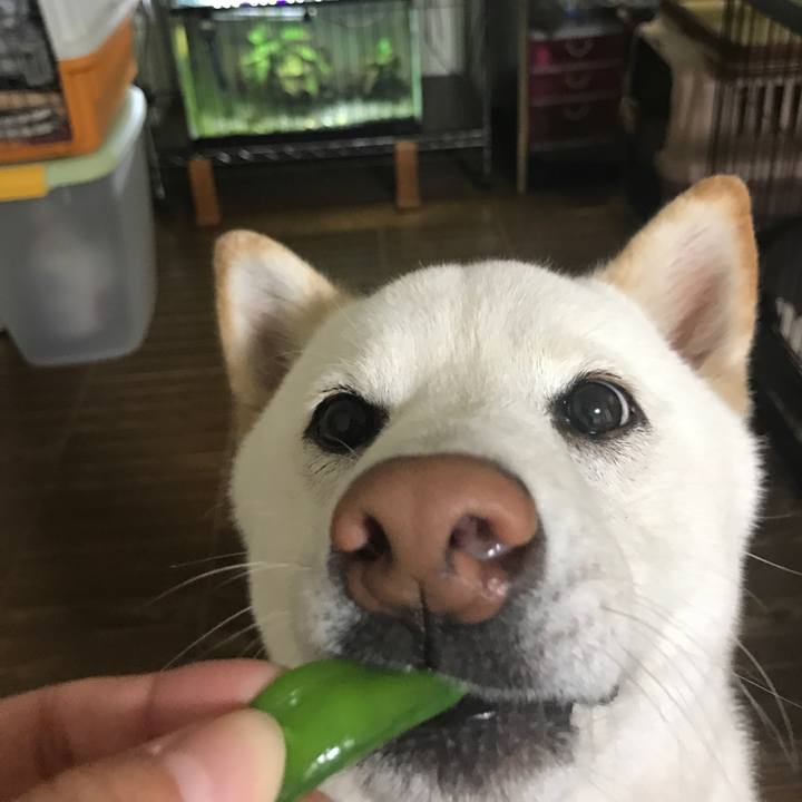 03098d1b 7080 4990 933e 5398d924ff12