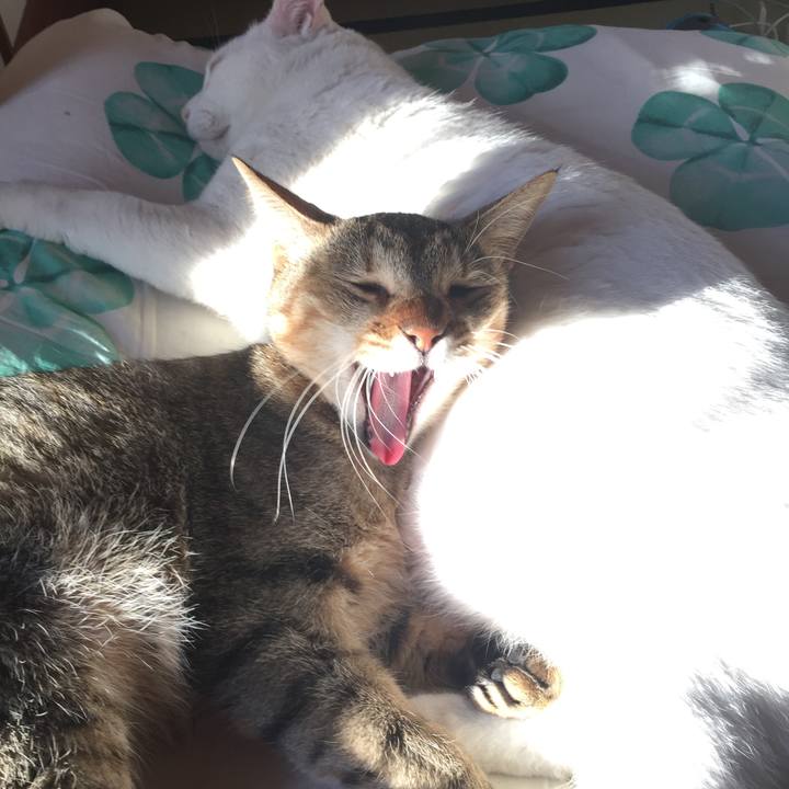 0309c9b0 2e95 4f2b 854e 756f7aeb9bd2