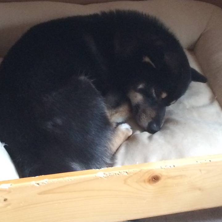 030a28a8 f924 4205 8efb c1b7e53e1049