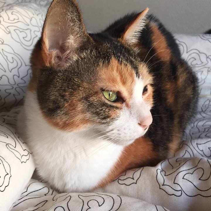 030a3a58 3538 4159 8884 4a78c86ae9a4