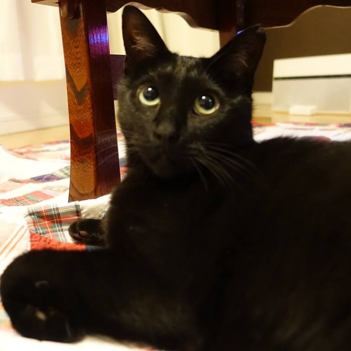 030a44ee 5406 476f b79e 394520336394