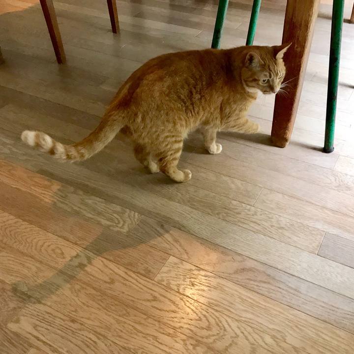 030abd23 8686 40f4 b127 968d34150714