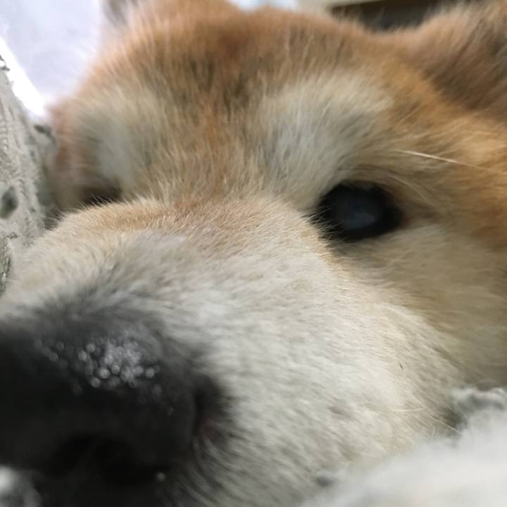 030ad056 dc2a 4164 9b9a 5f2f85fb7986