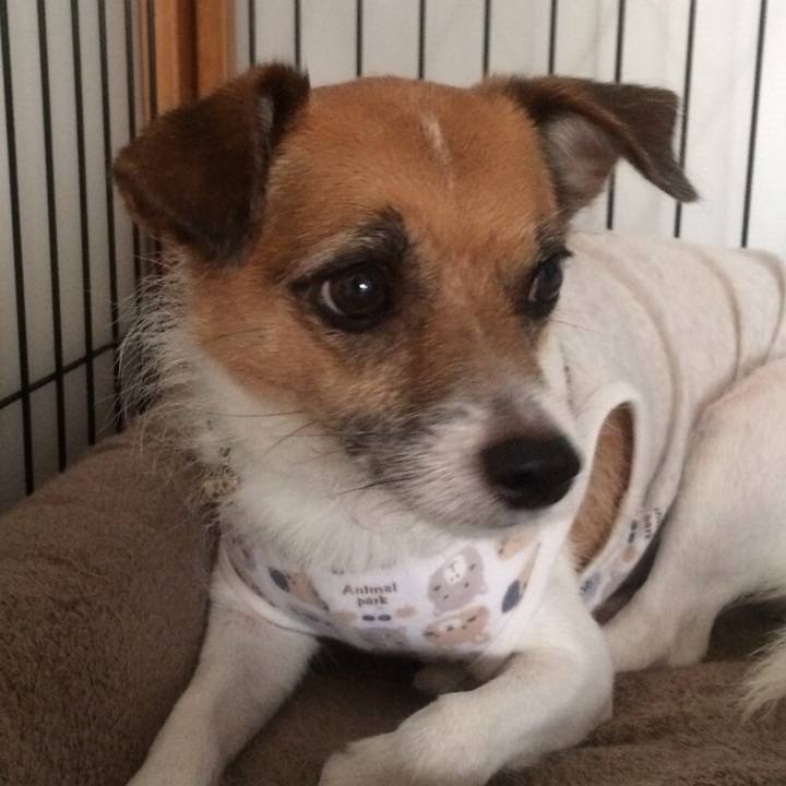 030af3ba c3b0 4033 b5b4 c2e657b724d4