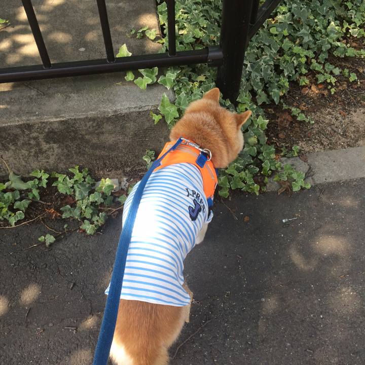 030b1c5c 9cc8 4429 8bc4 c127c5535150