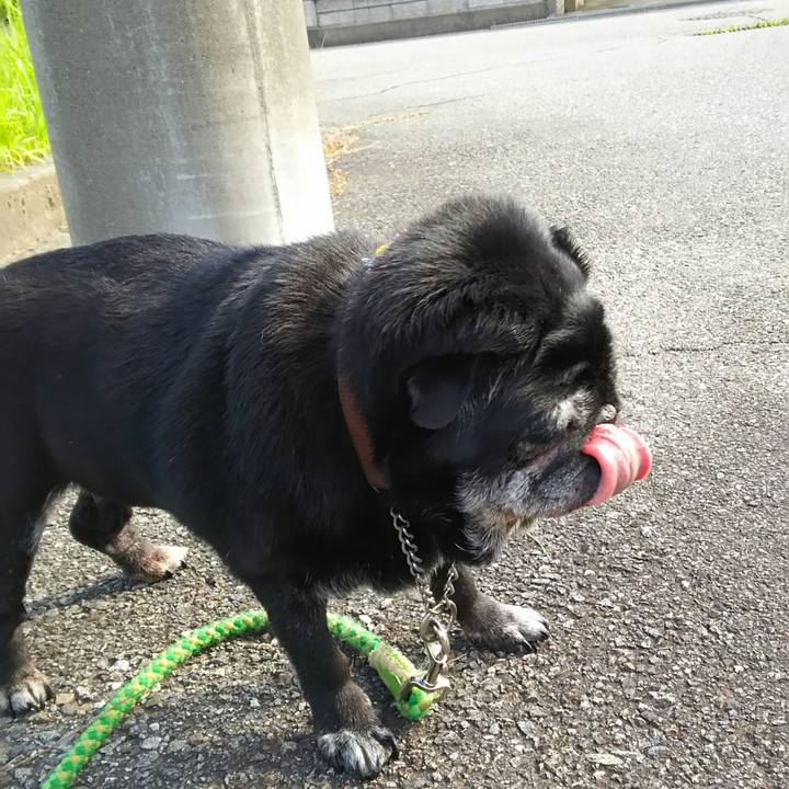 030b39a9 fced 4f43 bb18 b95255ed72eb