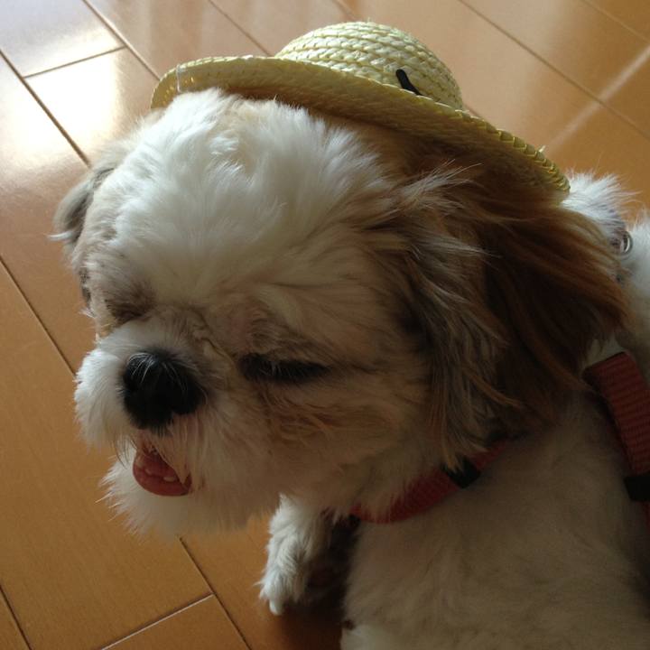 030b439b fa98 4f4e 82a7 f369db706679