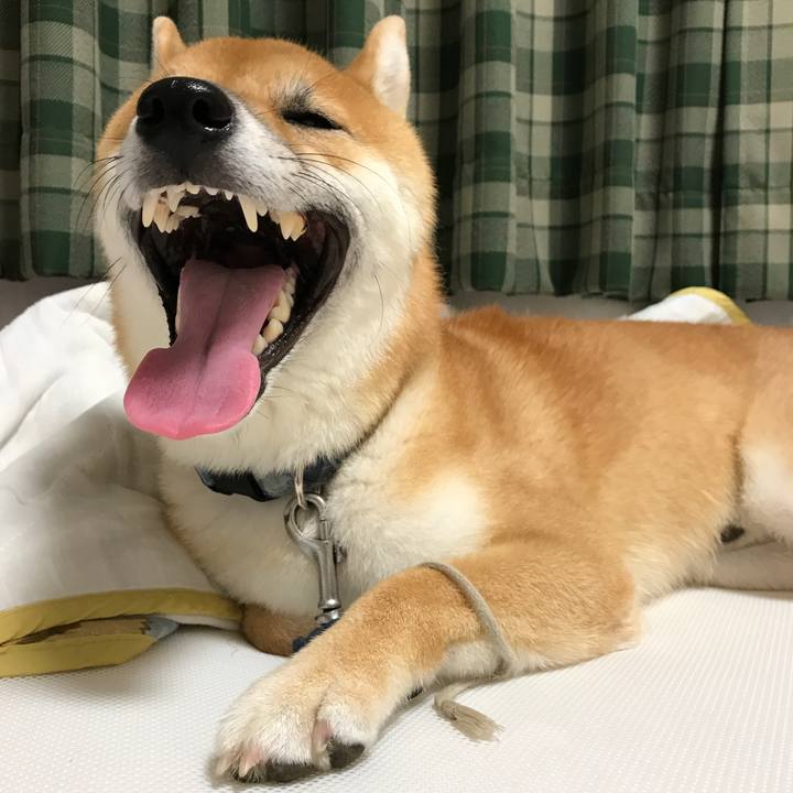 030b561d 018b 46a7 bd70 9243fa99363b