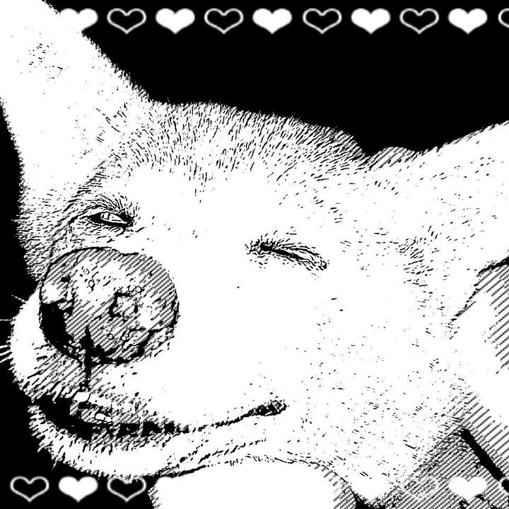 030b7b28 04d9 4c92 b601 b15b83f0b7fd