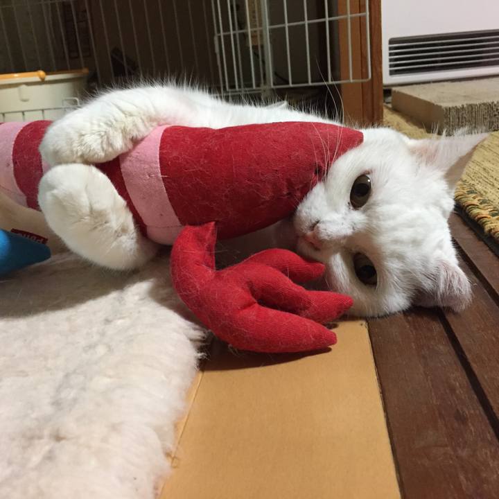 030c2239 ae85 4703 9afa dfd15cf80d9e