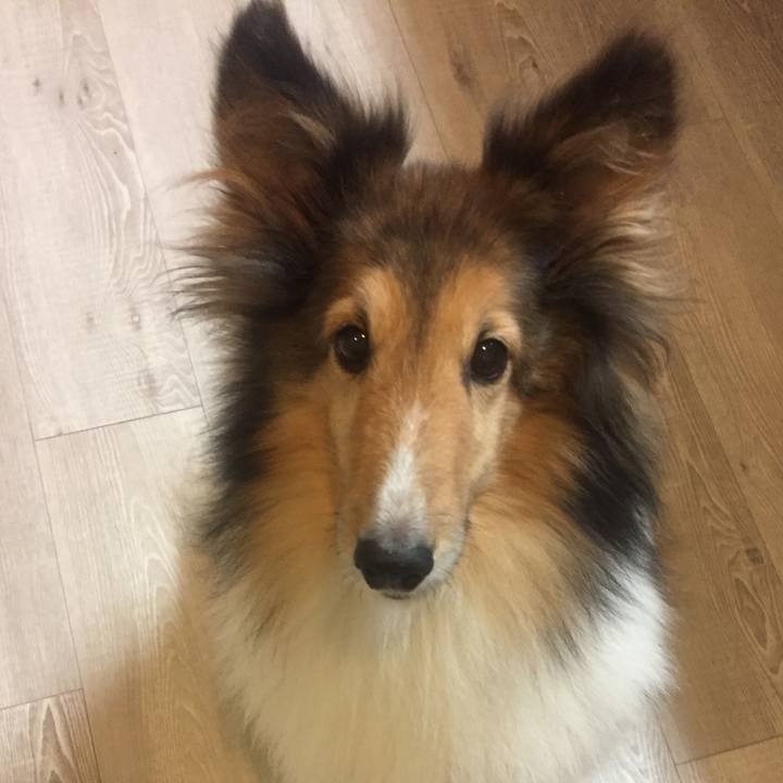 030c68e8 23db 44f5 a0fd ec05b740bd6a