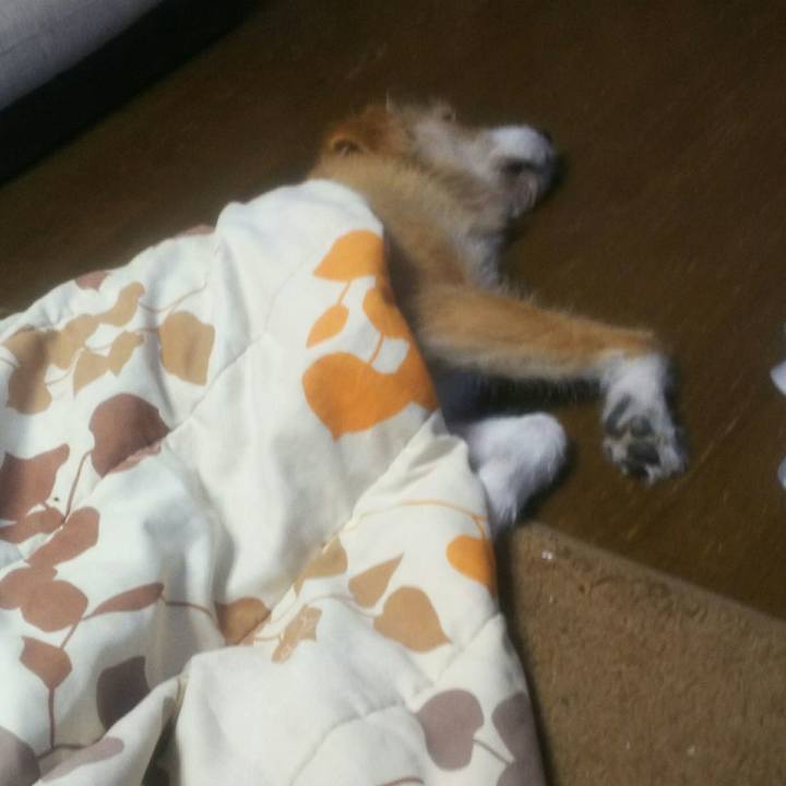 030d1c99 64c7 4247 bde3 9a127fae0584