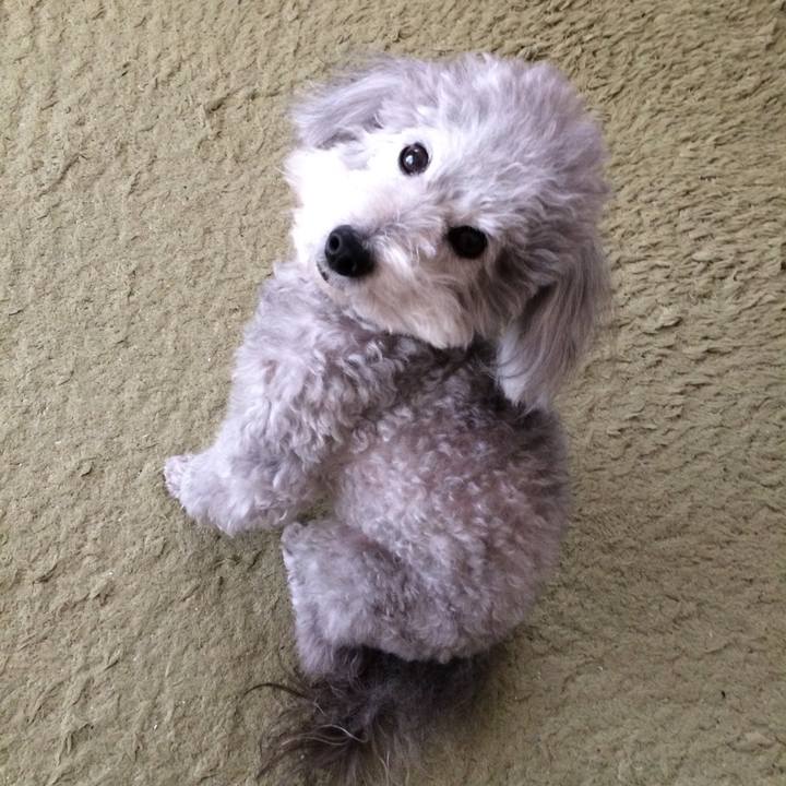 030d2880 9f87 4391 a36e eebb5cfdbd09