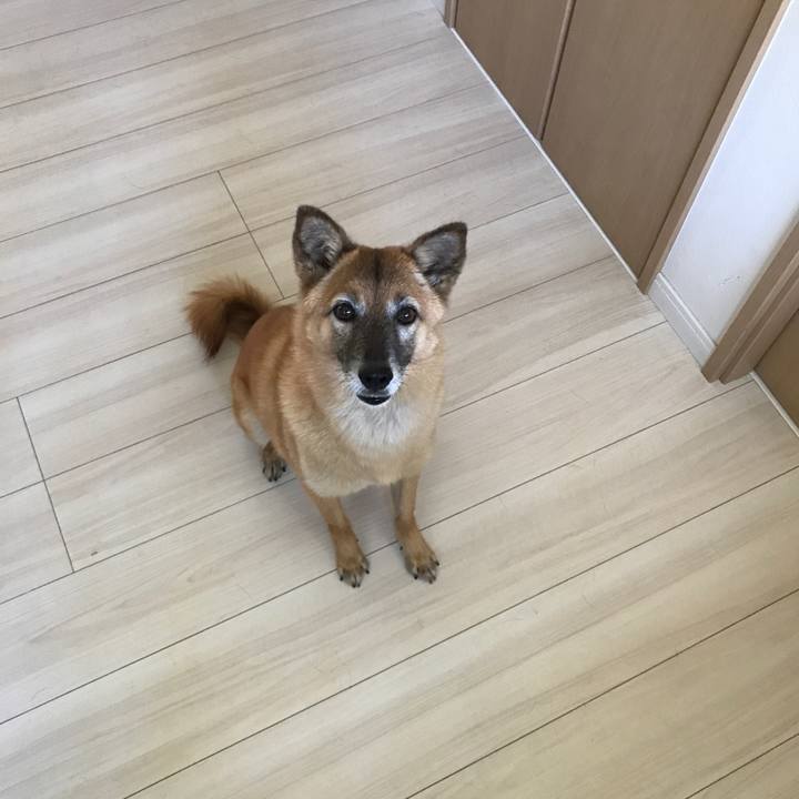 030d74be 1686 46e8 a6ea 32ac68d82692