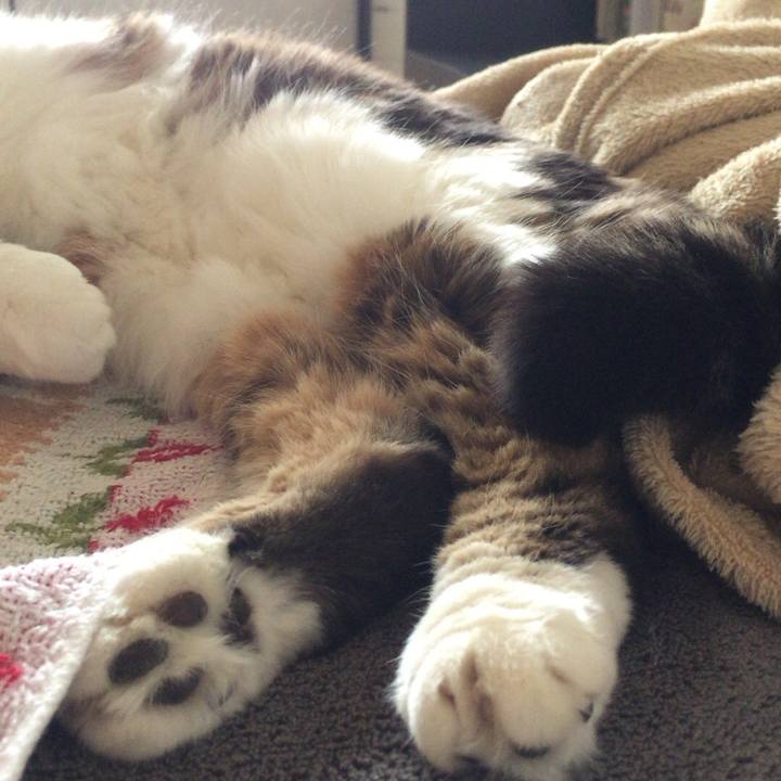 030db324 2bd8 4794 8bda 08f2643f372c