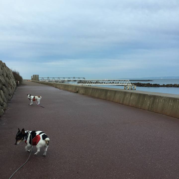 030db533 04e4 4303 8bca 0f366fe4b196