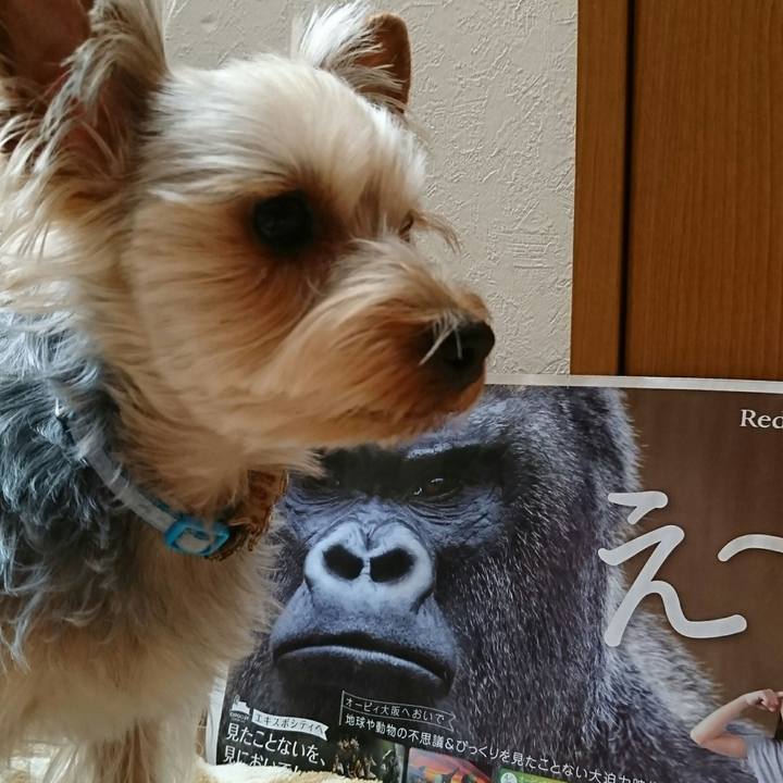 030dfc12 a1a0 4481 a2e5 7fbab128cfcb