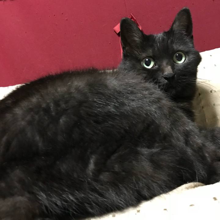 030e15c5 f095 4bf3 9d12 94640d637241