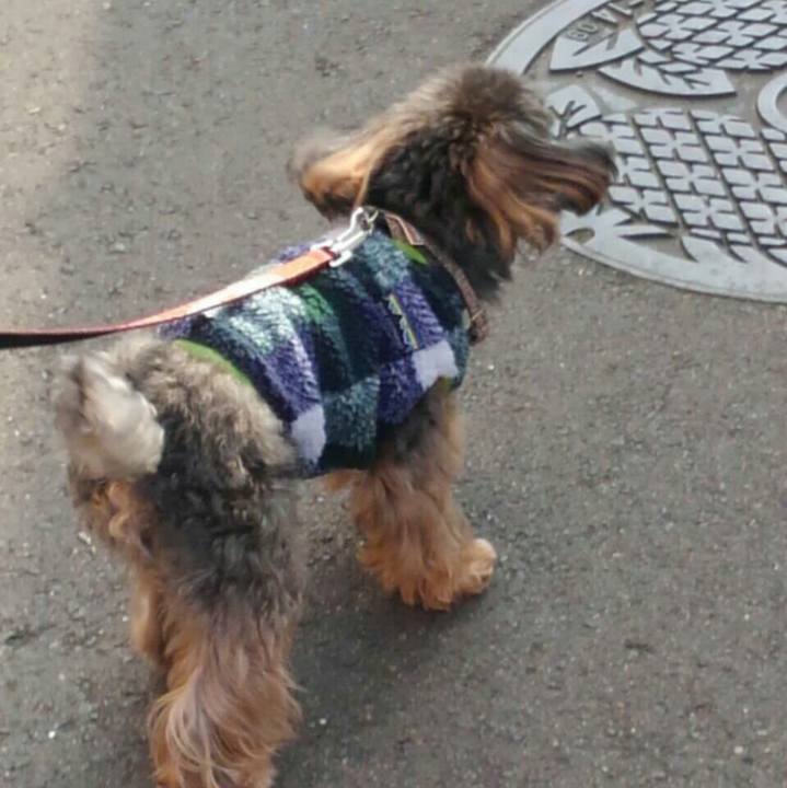 030f0d21 d195 4949 80c7 0e2eeb9a0ede