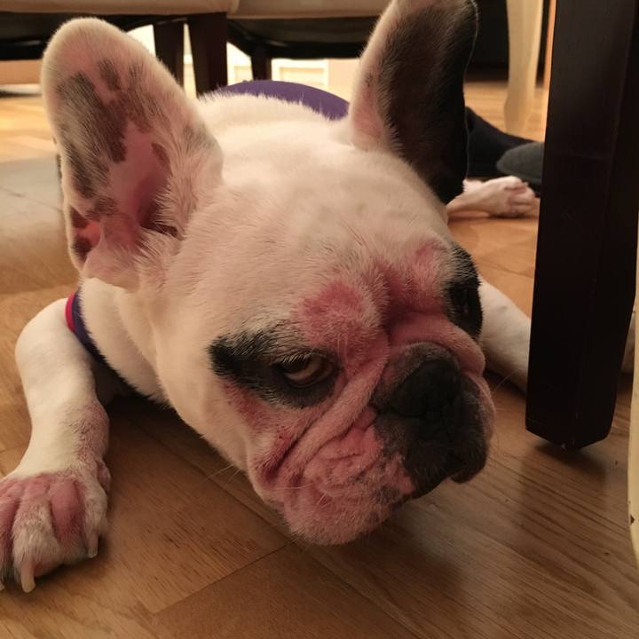 030f2418 e9c7 40dc b3ce c772d9b3cef0