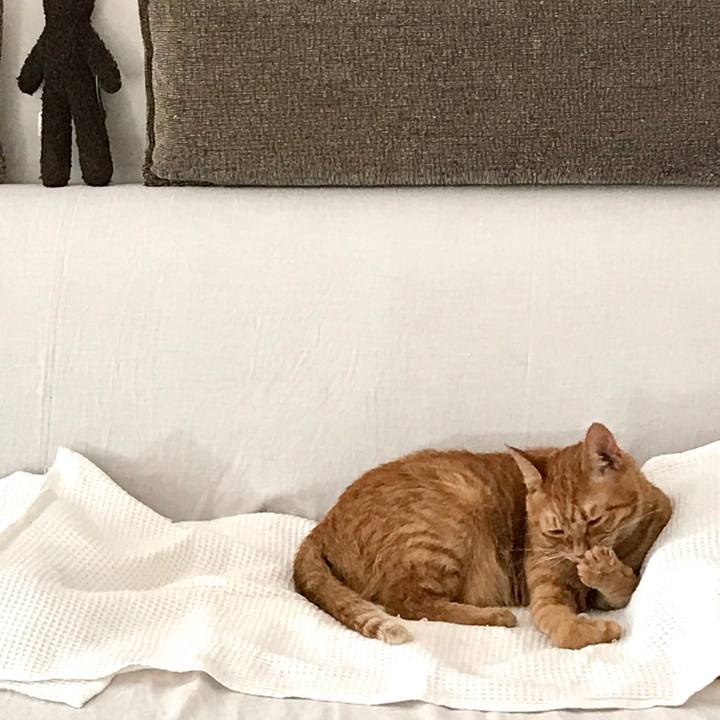 030fca82 63be 4b4d ad14 bc3239c487bd