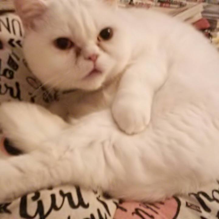 031019e5 d613 4001 b7c6 50129c60815d