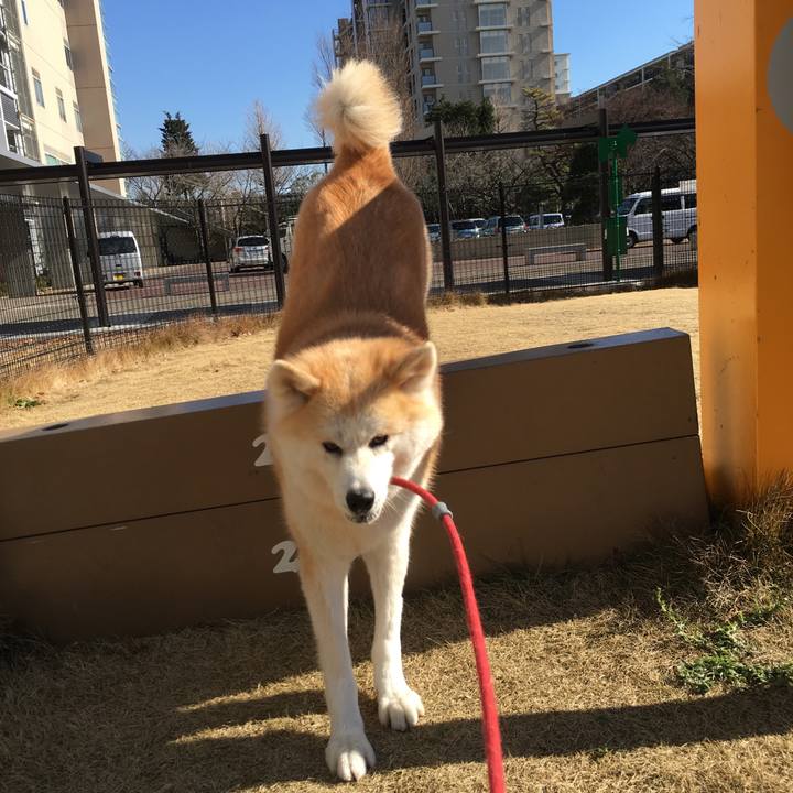 03103040 27d5 4378 a5d6 1cb0be1bdc78