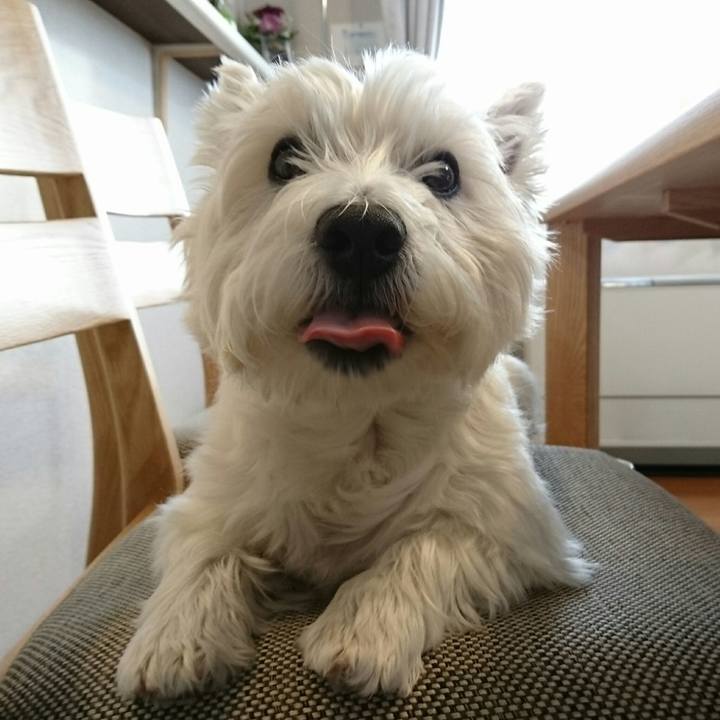 031098a3 8910 4752 9840 3caf826c7e7d