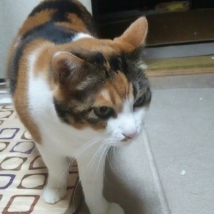 0310e862 3a42 472b 8052 3a8a20c4afb1