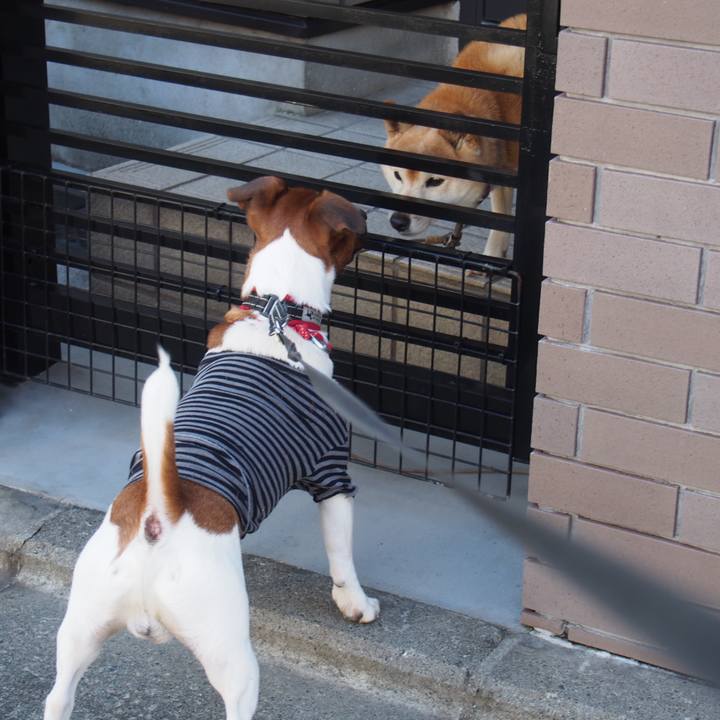 0310fe21 cd25 447b b698 8fd5193dfdea