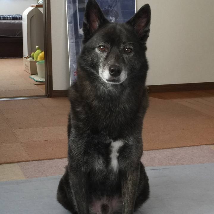 0311212d 758a 4756 bce7 899d98fd9bd3