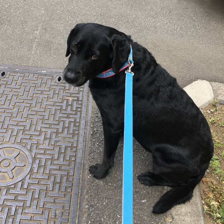 031148b1 f721 45ca b6b7 7a6c508aa956