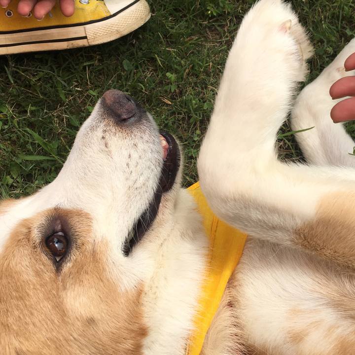 0311e670 78ba 4289 9654 4cb72594524f