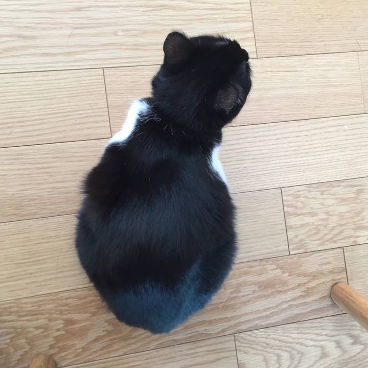 0312421a 2415 409f bf3e a52820663cf2