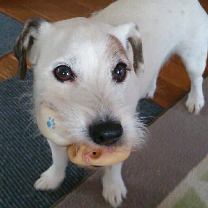 0312915f ccbf 4b60 a9d9 d6b907bca308