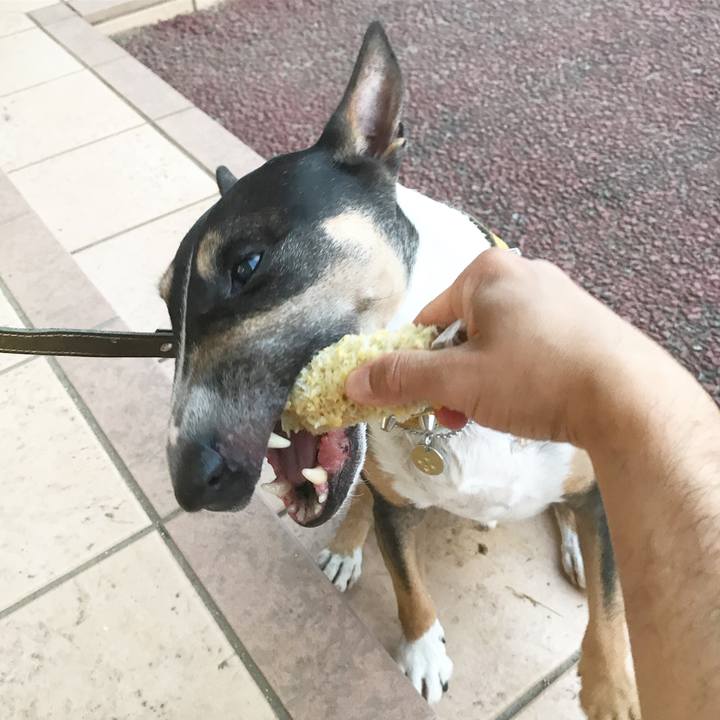 03129a0e 82c7 4ad6 bb23 89943ae05270