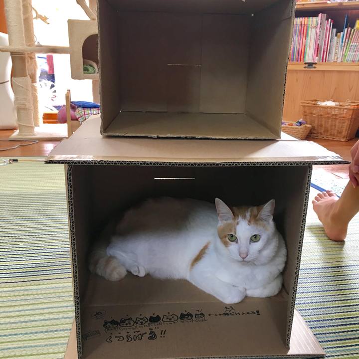 03134862 8031 4cc4 880b cc75a01d05e9