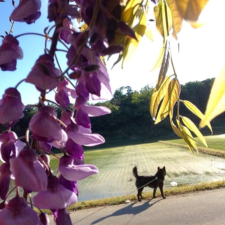 0313f9f6 18d7 428a b45b e659316365f6