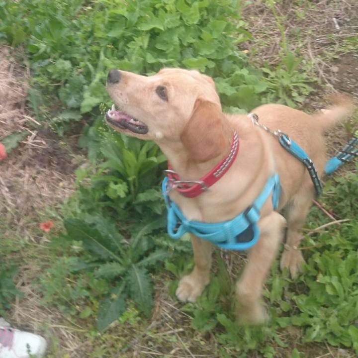 031435cf 856f 4ea2 ba95 807ee87f6a41