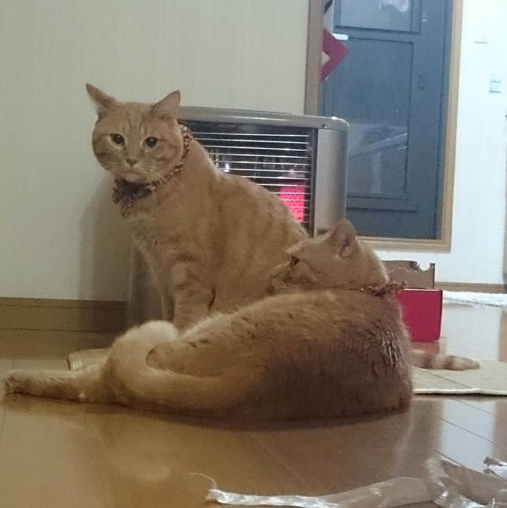 0314e254 2f98 44ee b293 dd0267f6fbda