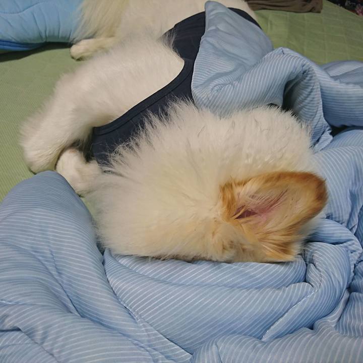 0315015e 7343 40fc 9376 cbef574bb710