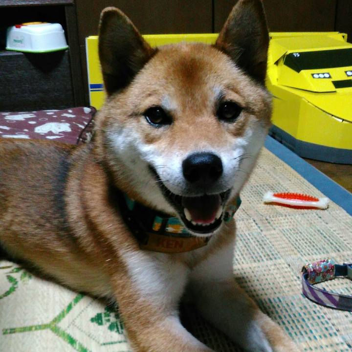 031565e0 8004 4b21 bf93 2b11ca6405e0