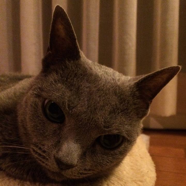 0315cee2 00a9 4433 a76f bde22d9a7017