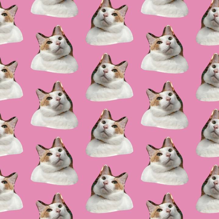 03160626 939a 4778 b067 73489b339aed