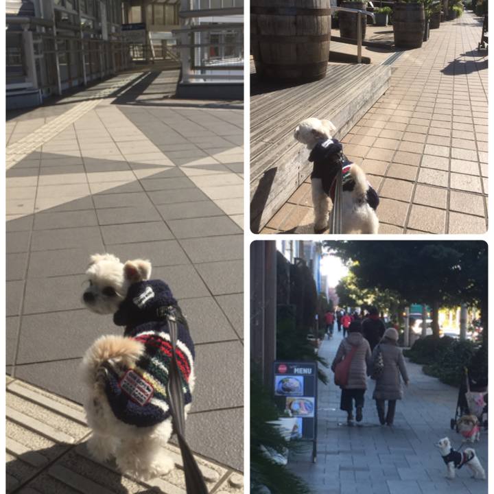 03165ab2 a770 40ca 9be5 1904ec2ca707