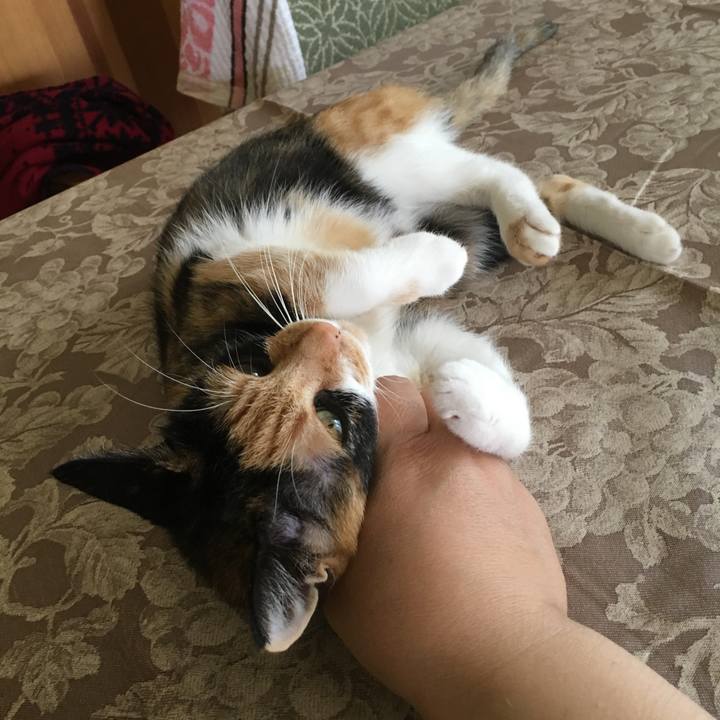 0317655b b80c 442f 9bf1 ff4f6d40c5fe