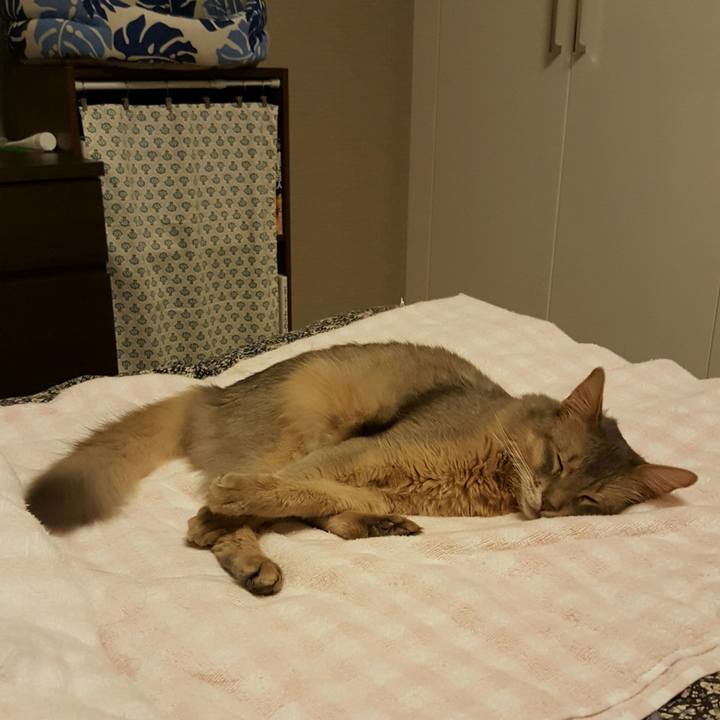 03181b54 8cfa 49b8 9928 24b81a0acdfe